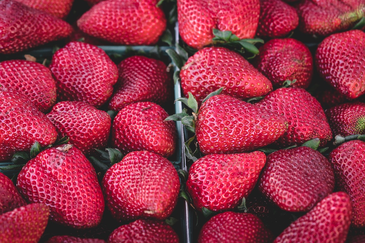 Adviseur gazon mezelf Met en zonder PlanetProof even giftig' - PAN Europe waarschuwt tegen  consumptie van aardbeien uit supermarkten - Foodlog