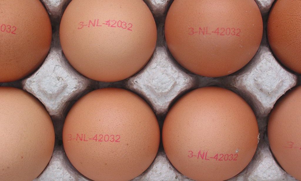 Afgekeurd Oranje olie Onderzoeker valt van zijn stoel om winkelprijs eieren - Wageningse  wetenschapper weet niet hoe supermarkten werken - Foodlog