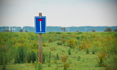 Boerenbeleid onder een boergezinde regering: gokken op gisteren zonder plan B