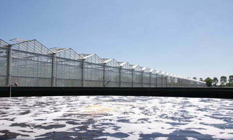 Wetten en regels staan innovatief watergebruik te vaak in de weg