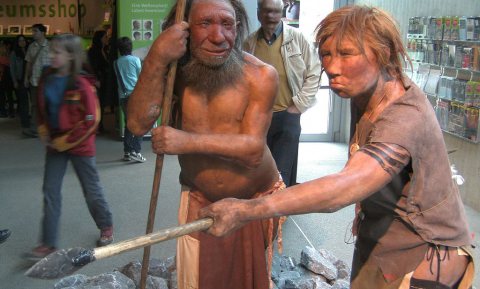 Hoe at een neanderthaler zijn vogeltje? Met z’n handen