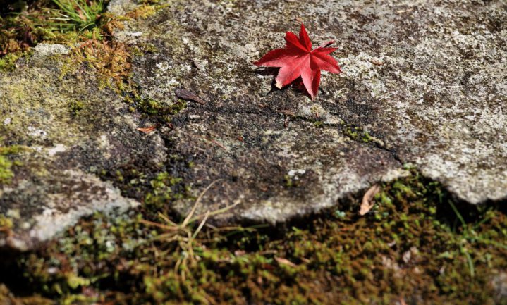 Netwerkevent: Klimaat, kringlopen, kansen en knelpunten