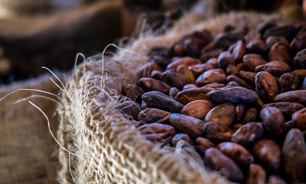 Nederland voert veel meer en veel duurdere cacao in