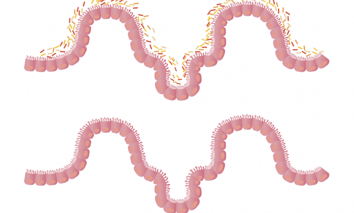 Congres: Mind, Mood & Microbes