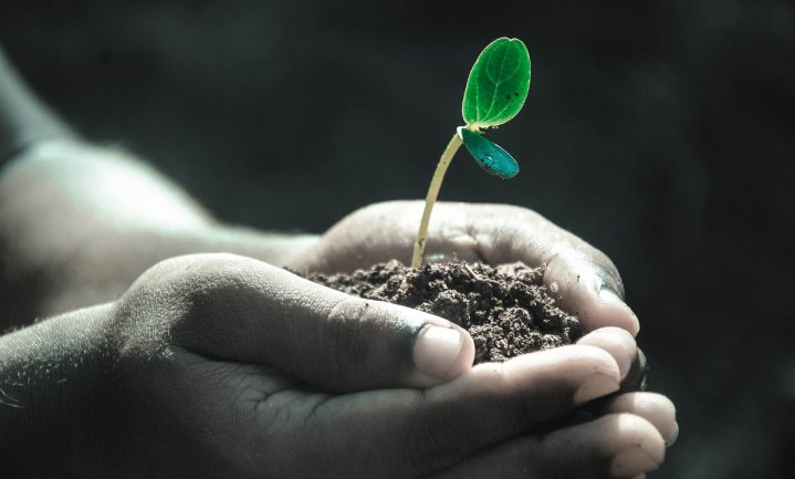 Symposium – Integrale veerkracht: van bodemgezondheid naar gezondheid in plant, dier en mens