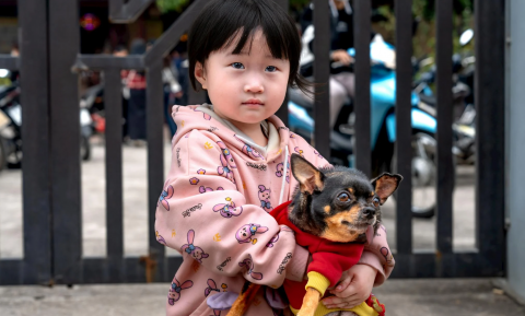 Huisdieren rukken op in China