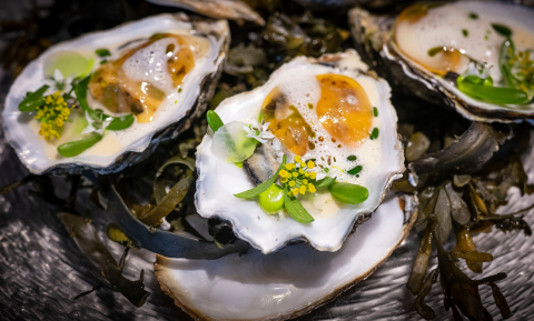 Als je gelooft dat oesters geen pijn voelen, mag je ze als vegan eten