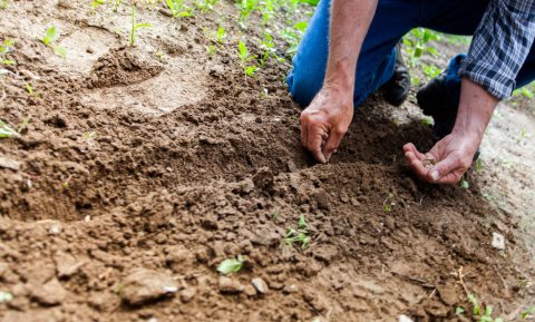 Van een efficiënte naar een effectieve landbouw