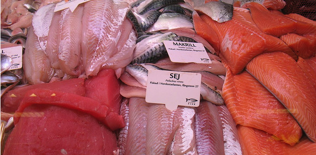 vezel rol Heerlijk Van vlees naar vis - Foodlog