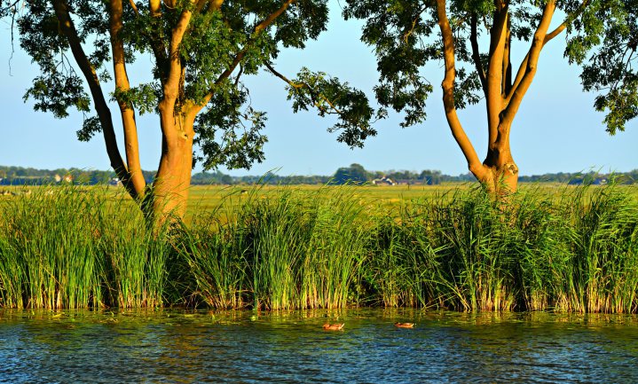 Symposium: Ecologie als leidraad voor economie