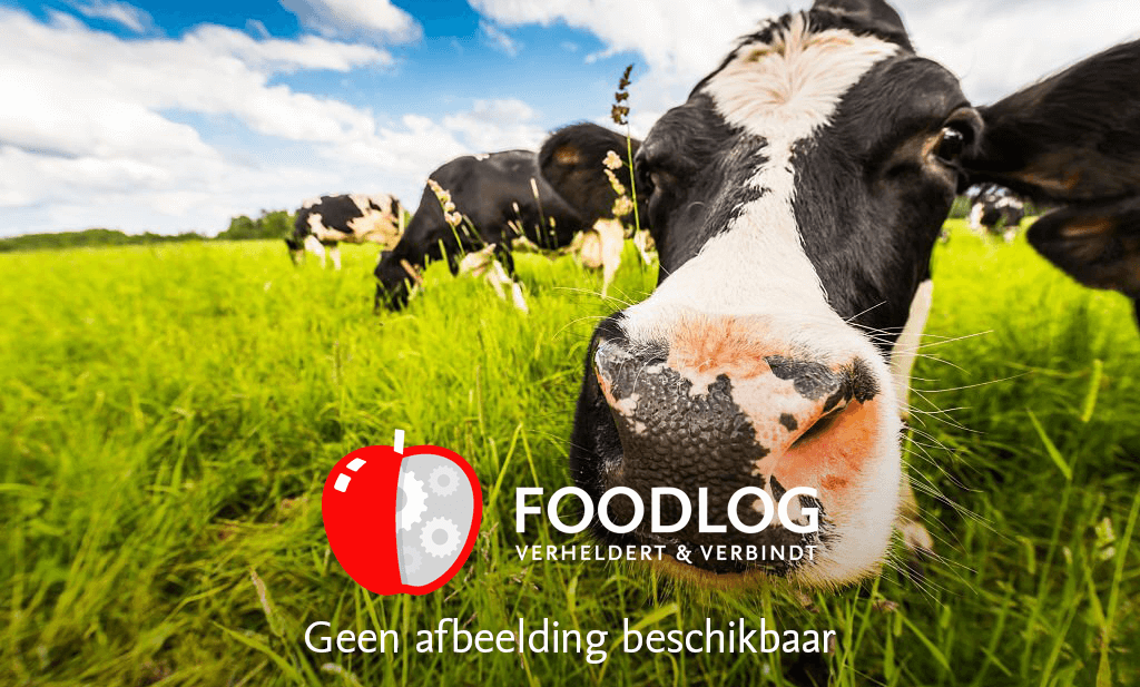 ‘Melkveehouderij moet investeren in klimaat en koeien in de wei’